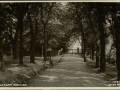 The Grove - early 1900s