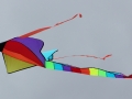 kite2014-d-jpg