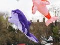kite2014-f-jpg